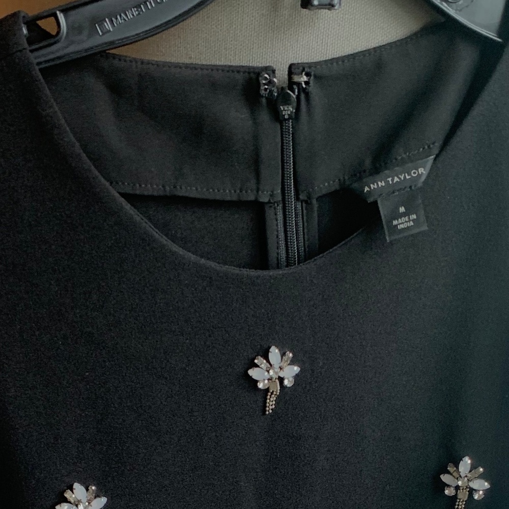 Ann Taylor Dress Top